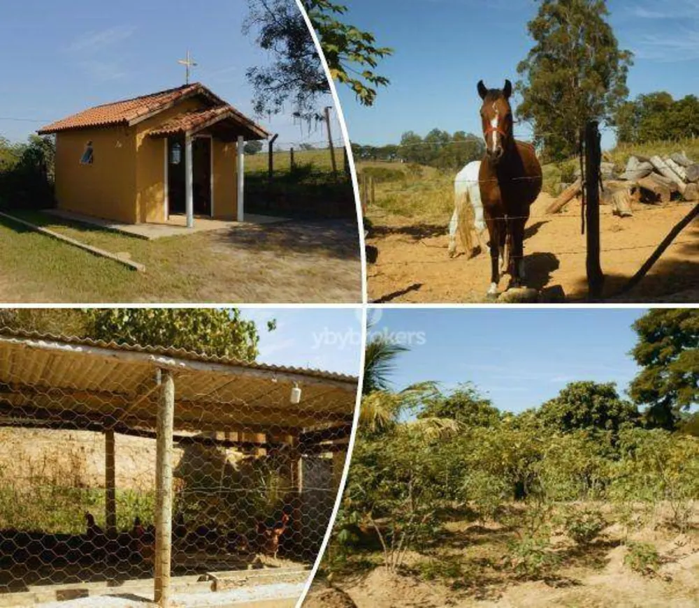 Sítio, 5 quartos, 24 hectares - Foto 9