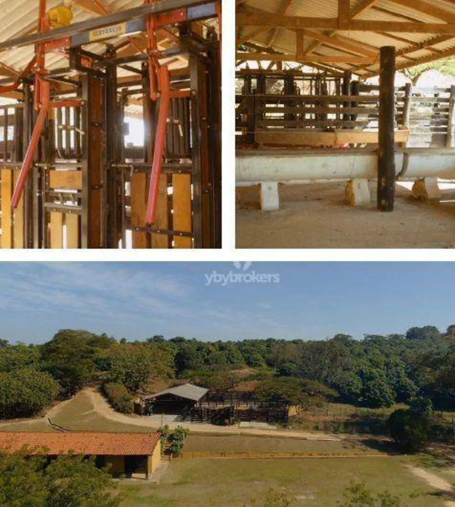Fazenda, 24 hectares - Foto 7