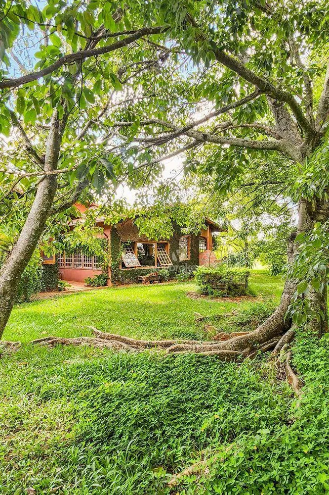 Fazenda, 129 hectares - Foto 10