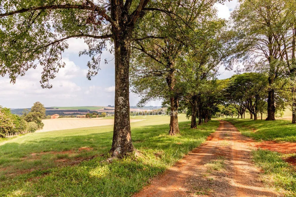 Fazenda, 129 hectares - Foto 1
