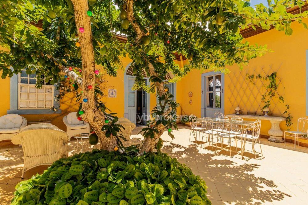 Fazenda, 95 hectares - Foto 2