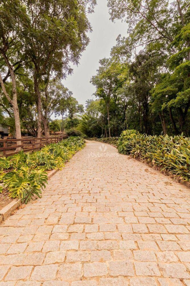 Fazenda, 95 hectares - Foto 3