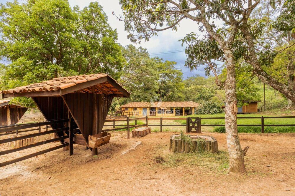 Fazenda, 95 hectares - Foto 4