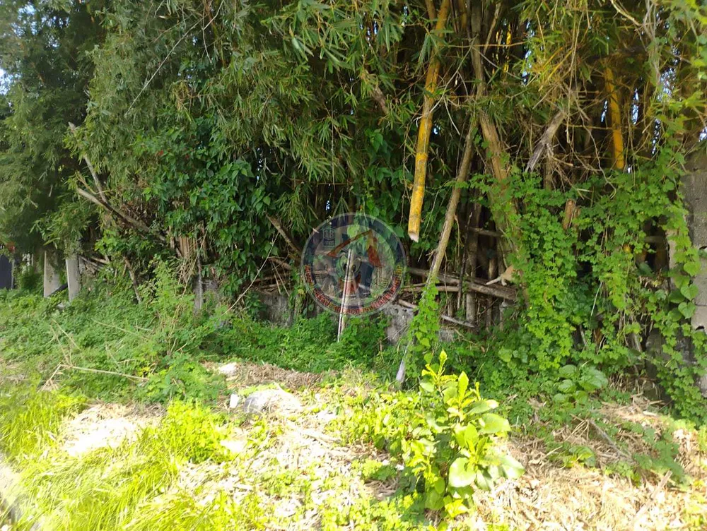 Terreno, 600 m² - Foto 8