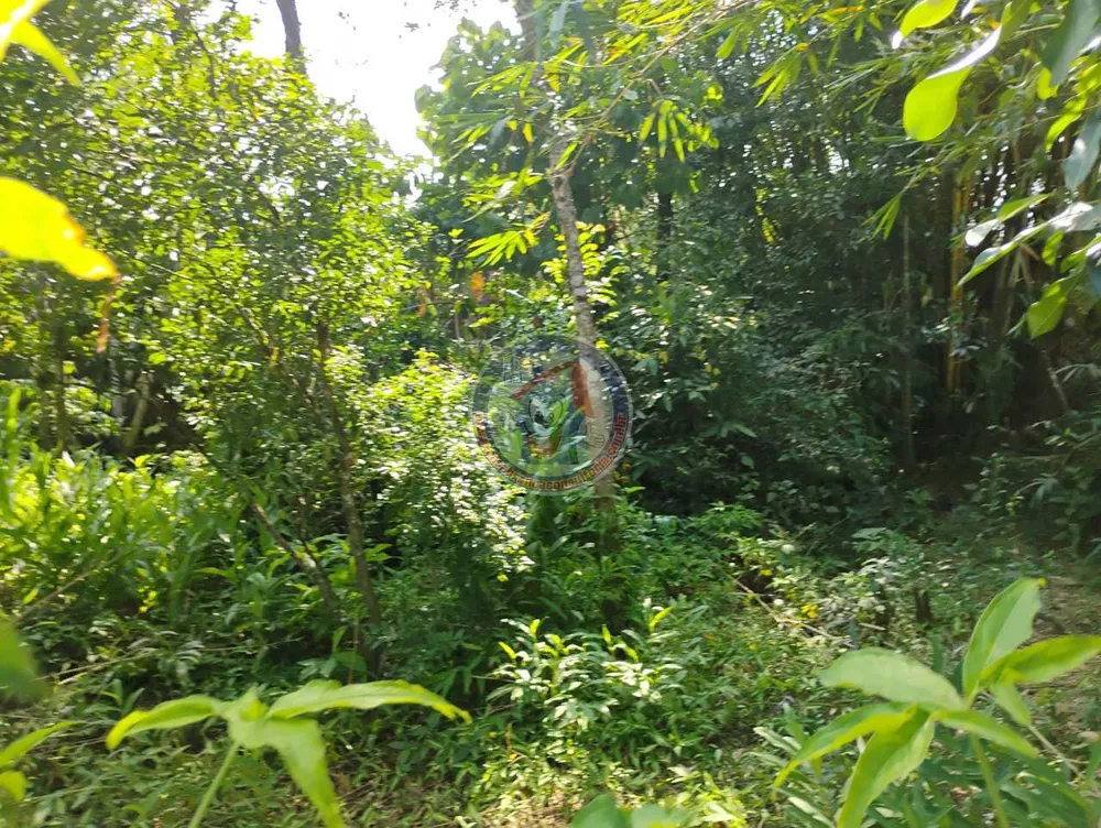 Terreno, 600 m² - Foto 10