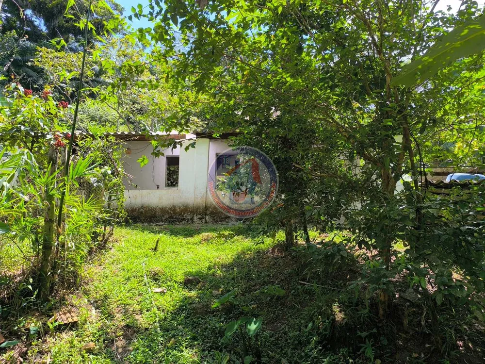 Chácara, 1 quarto, 2400 m² - Foto 5