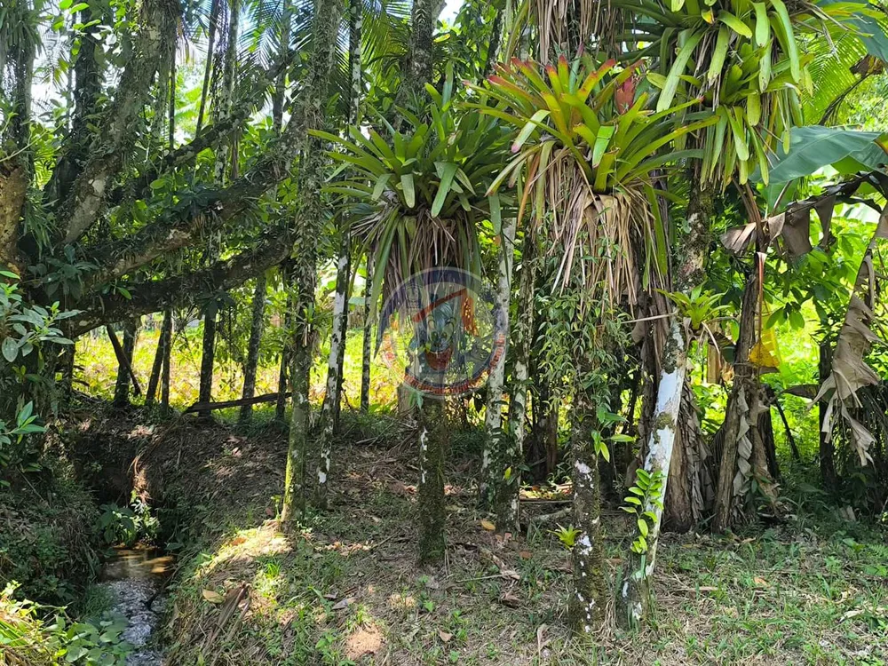 Chácara, 1 quarto, 2400 m² - Foto 1