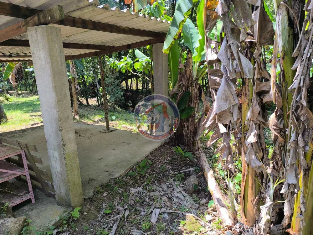 Chácara, 1 quarto, 2400 m² - Foto 4