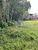Terreno, 275 m² - Foto 4
