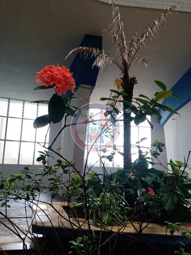 Apartamento, 2 quartos, 45 m² - Foto 10