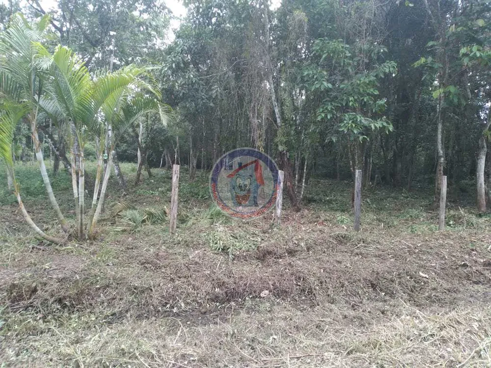 Terreno, 1000 m² - Foto 4
