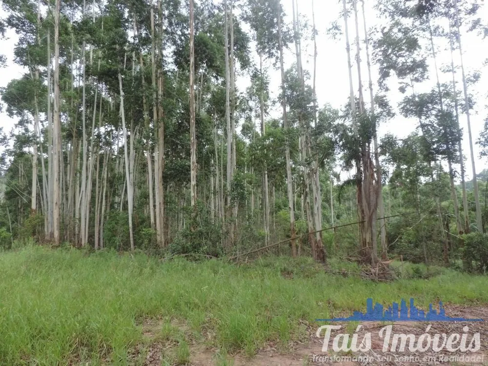 Terreno, 26 hectares - Foto 1