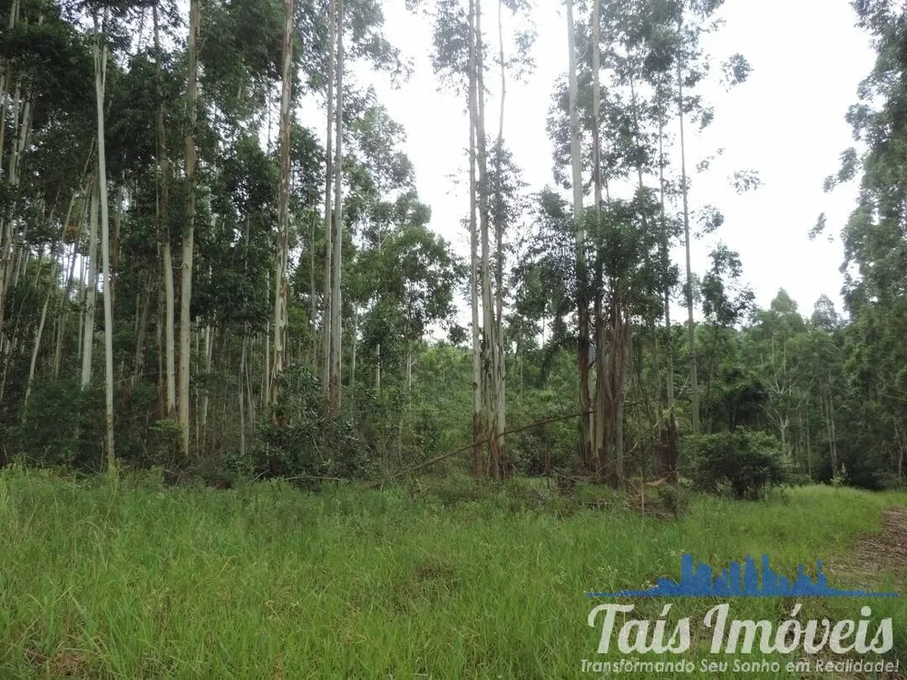 Terreno, 26 hectares - Foto 4
