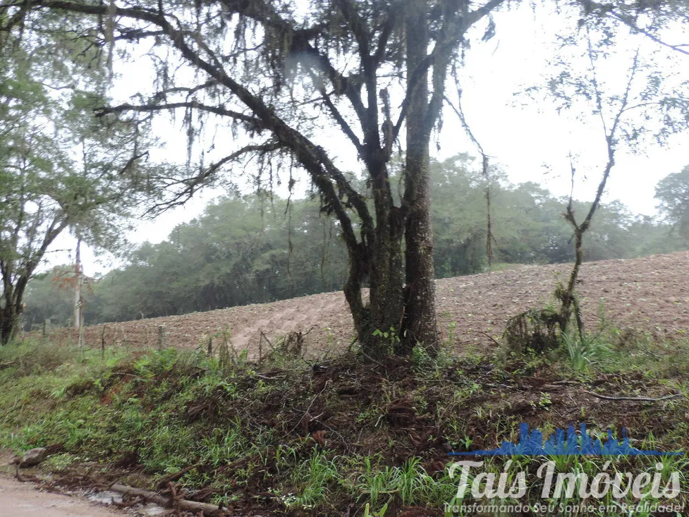 Terreno, 23 m² - Foto 4