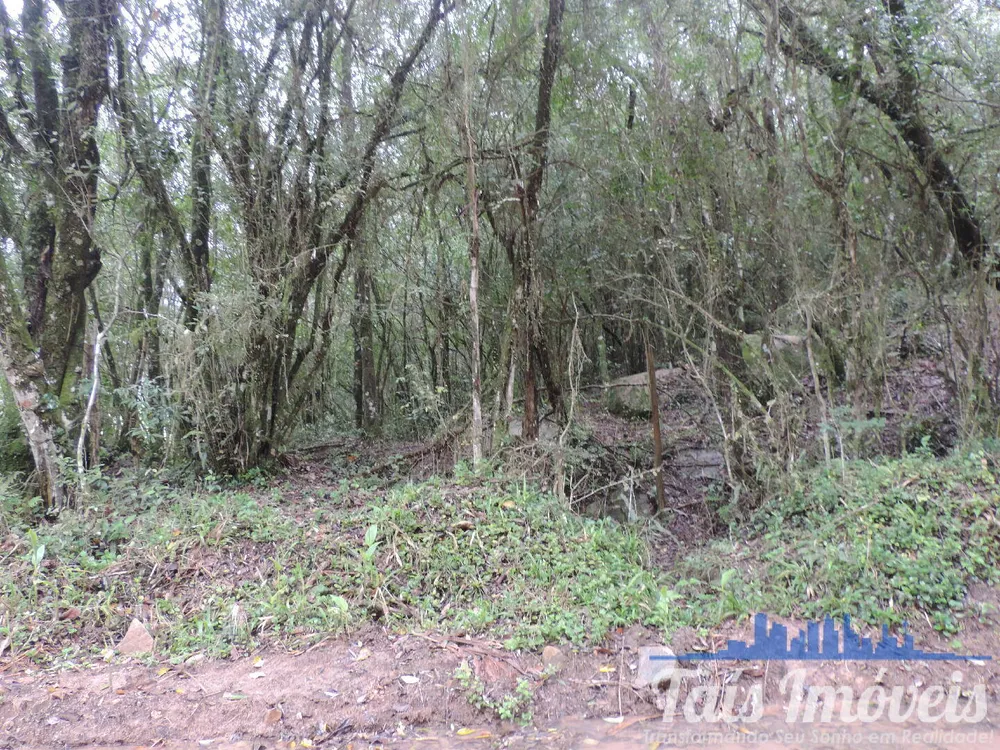 Terreno, 23 m² - Foto 1