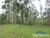 Terreno, 26 hectares - Foto 4