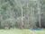 Terreno, 26 hectares - Foto 2