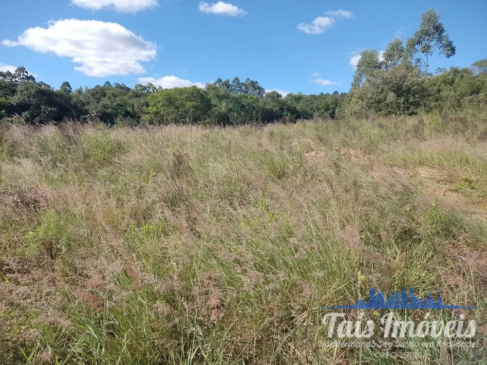 Terreno, 8 hectares - Foto 2