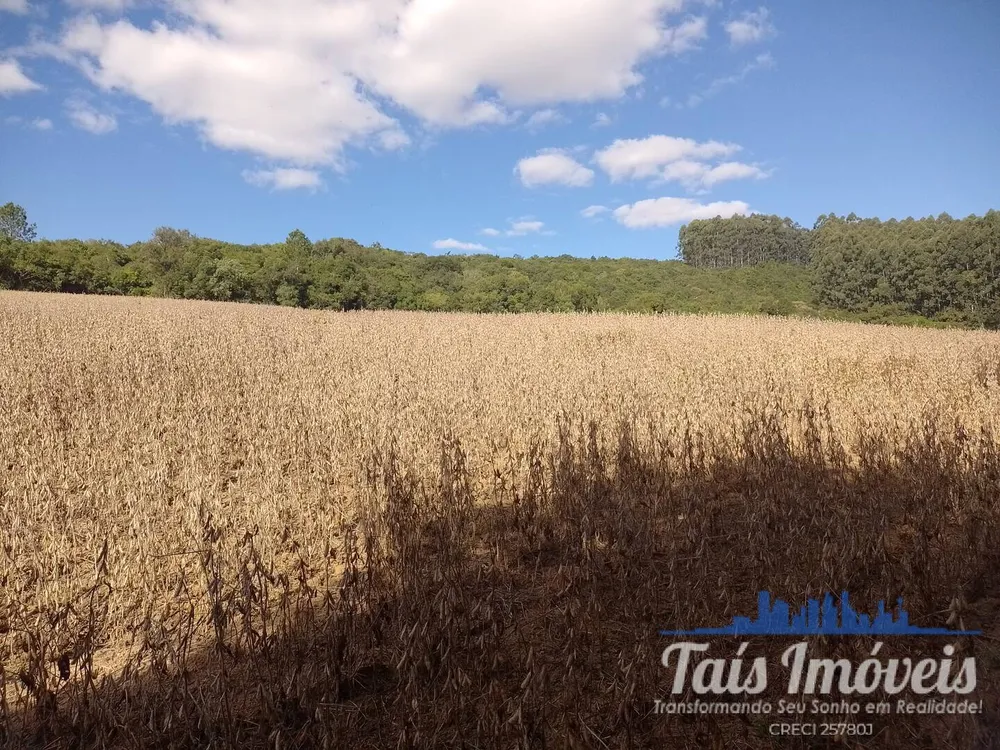 Terreno, 8 hectares - Foto 3