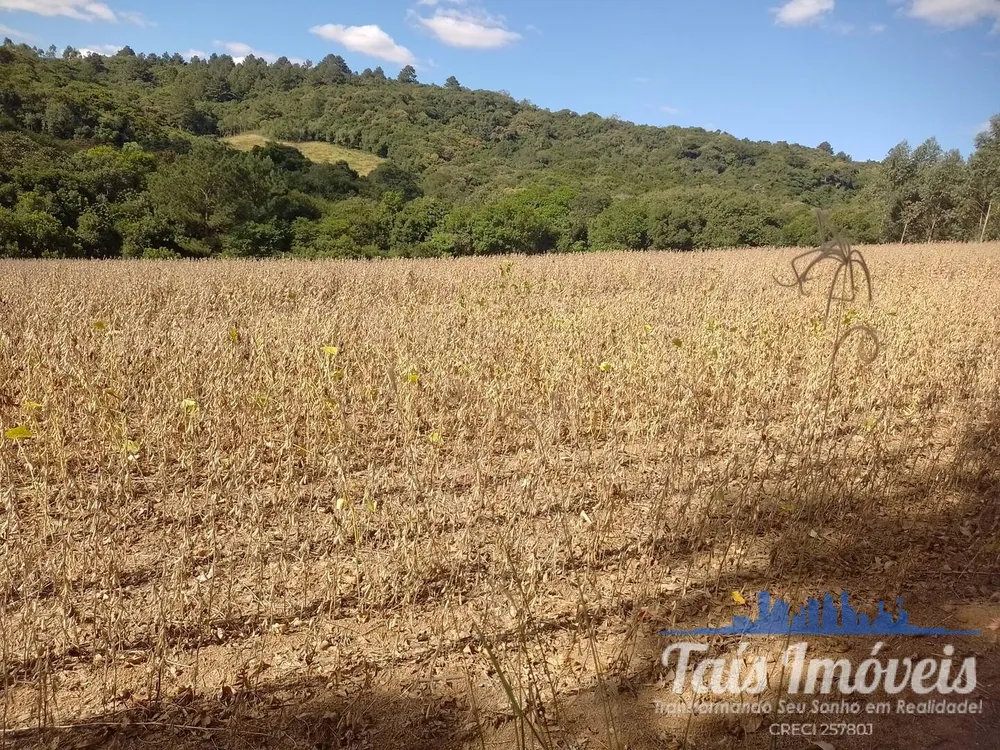 Terreno, 8 hectares - Foto 4