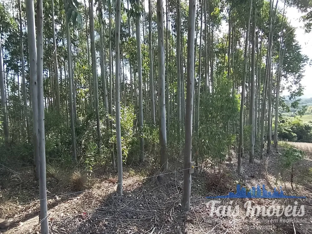 Terreno, 8 hectares - Foto 1