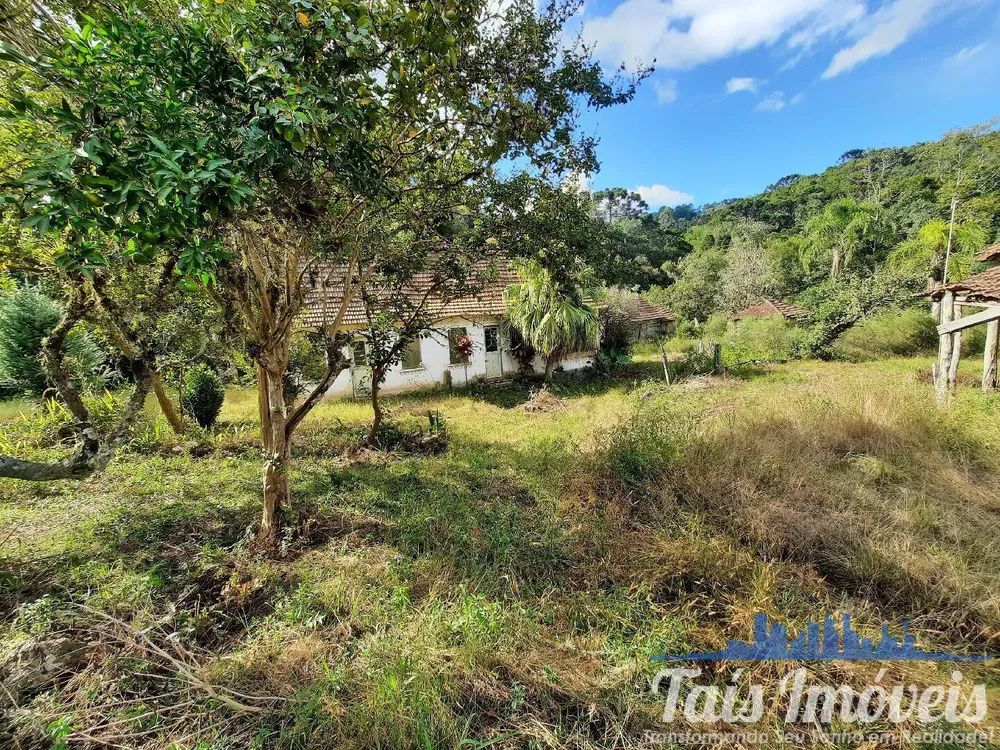 Sítio, 3 quartos, 45 m² - Foto 4