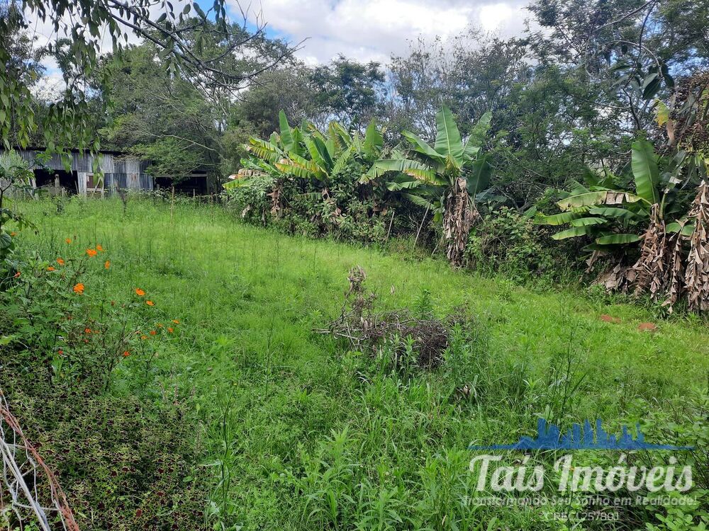 Sítio à venda com 4 quartos, 6160m² - Foto 4