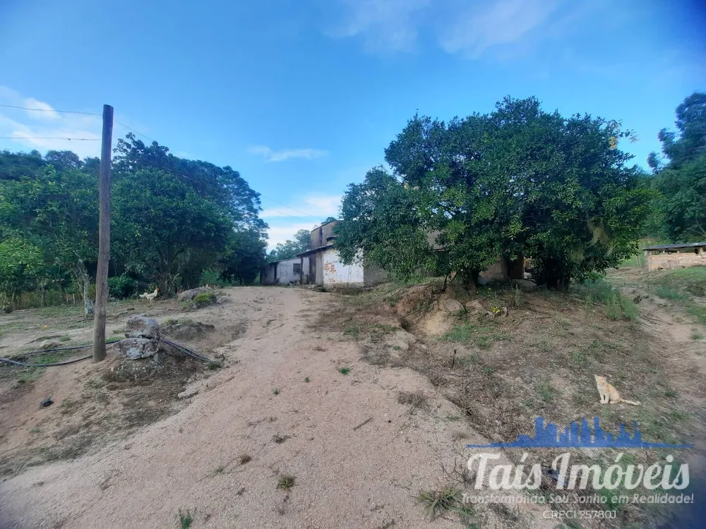 Sítio, 3 quartos, 14 m² - Foto 4