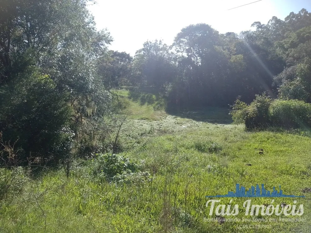 Sítio, 4 quartos, 17 hectares - Foto 4