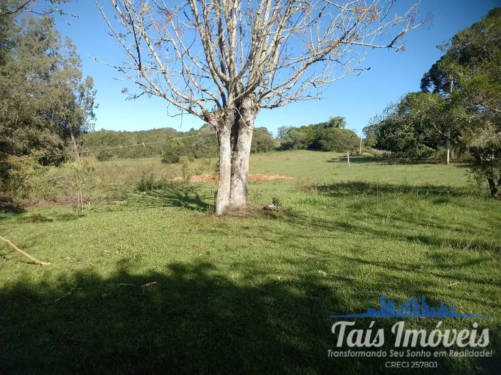 Sítio, 4 quartos, 17 hectares - Foto 2
