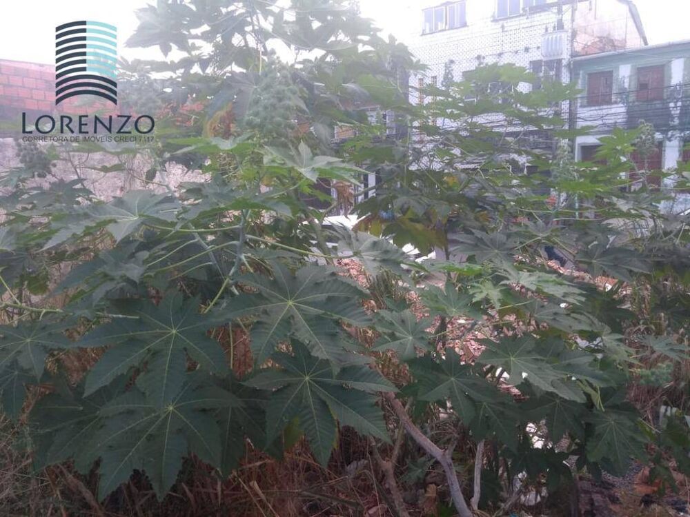 Loja-Salão, 70 m² - Foto 3