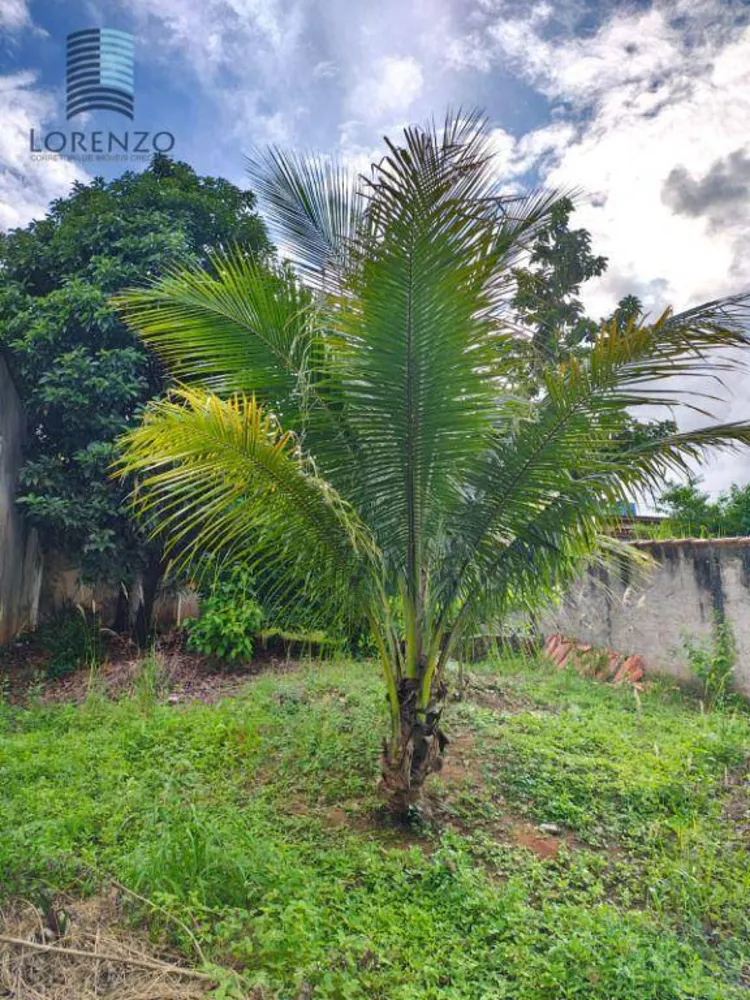Loteamento e Condomínio, 600 m² - Foto 5
