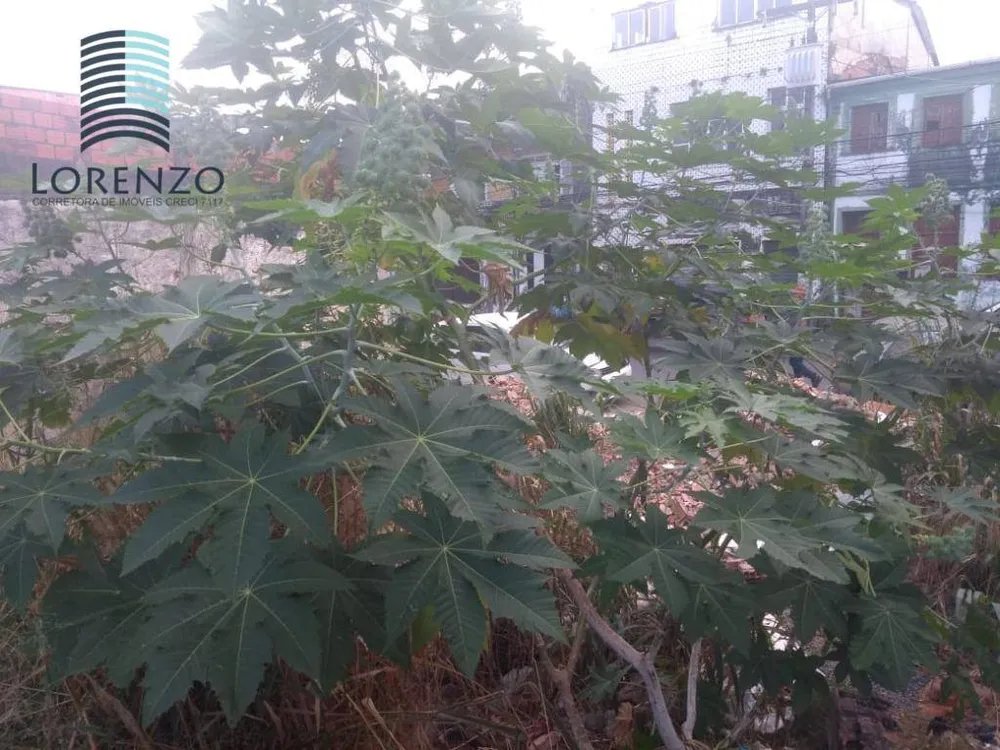 Terreno, 470 m² - Foto 9