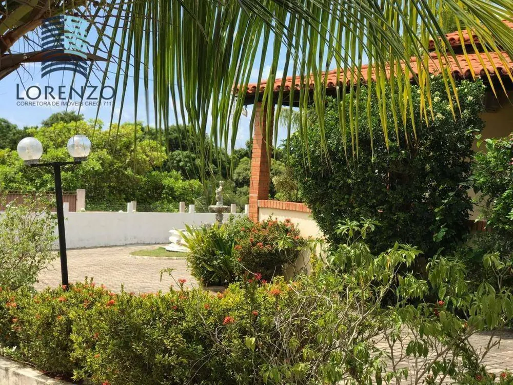Chácara, 4 quartos, 3 hectares - Foto 7
