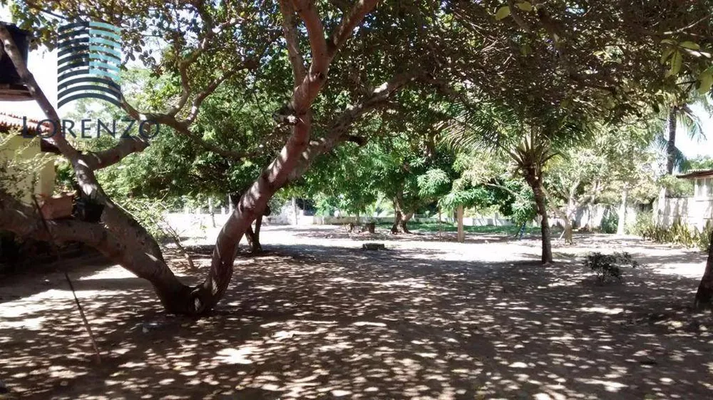 Chácara, 4 quartos, 3 hectares - Foto 13