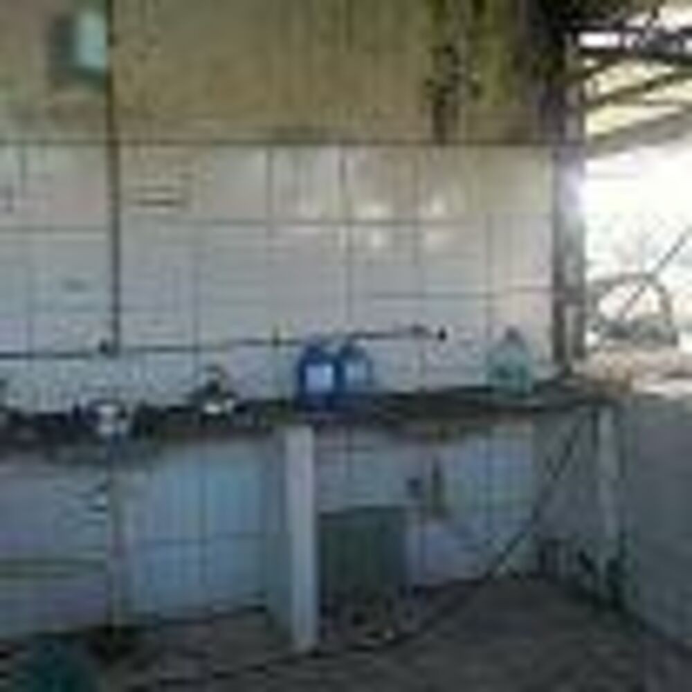 Depósito-Galpão, 1000 m² - Foto 4