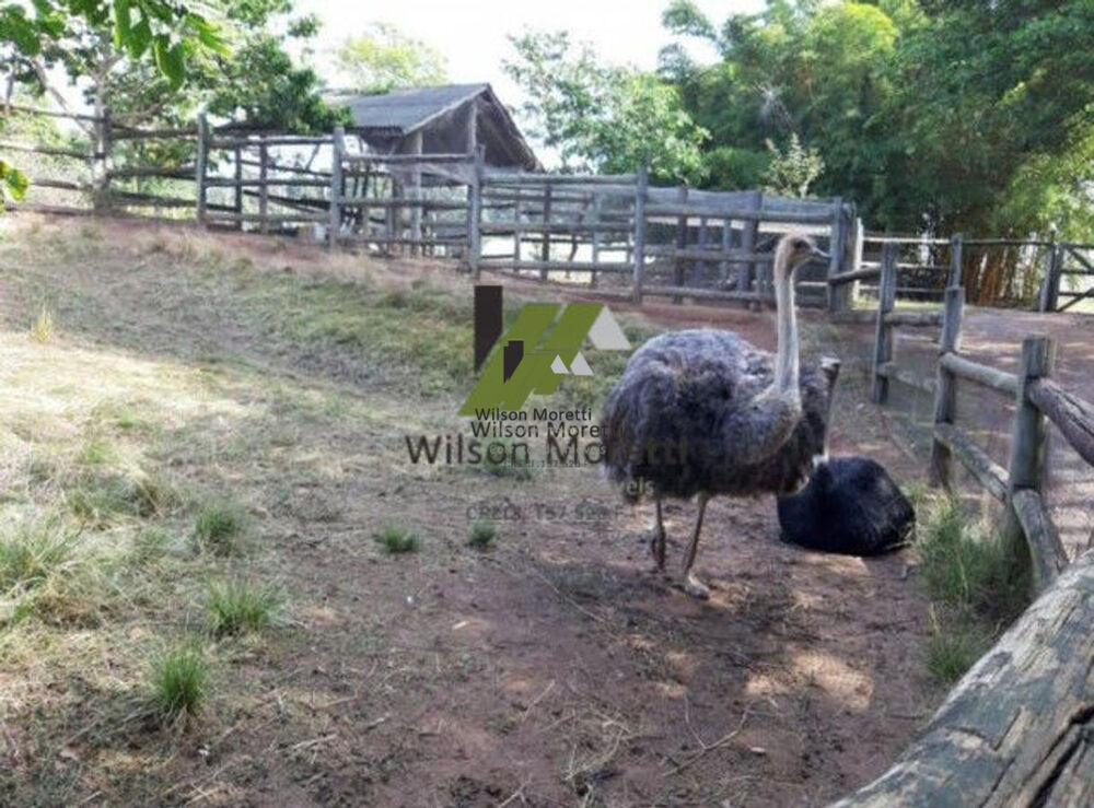 Casa, 3 quartos, 120 m² - Foto 11