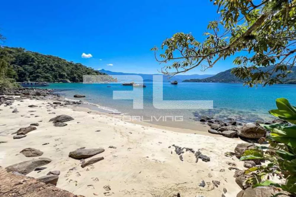 Terreno, 1 hectares - Foto 4