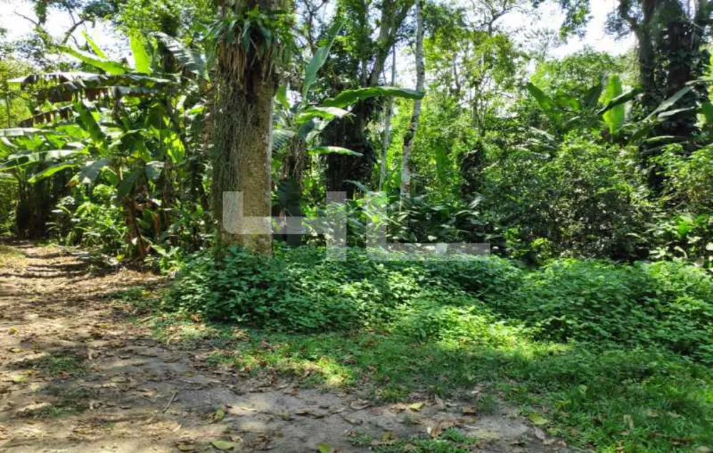 Fazenda, 1 quarto - Foto 6