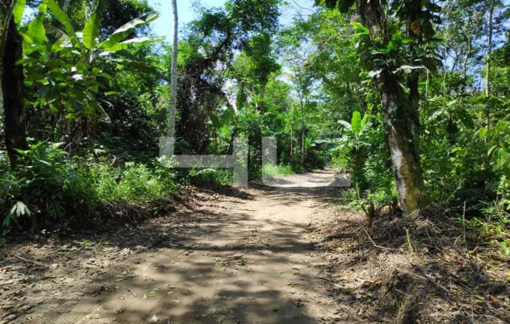 Fazenda, 1 quarto - Foto 4