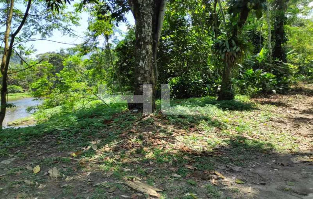 Fazenda, 1 quarto - Foto 15
