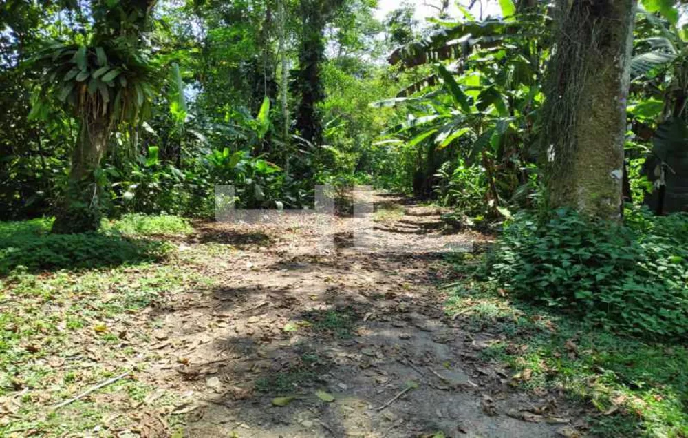 Fazenda, 1 quarto - Foto 10