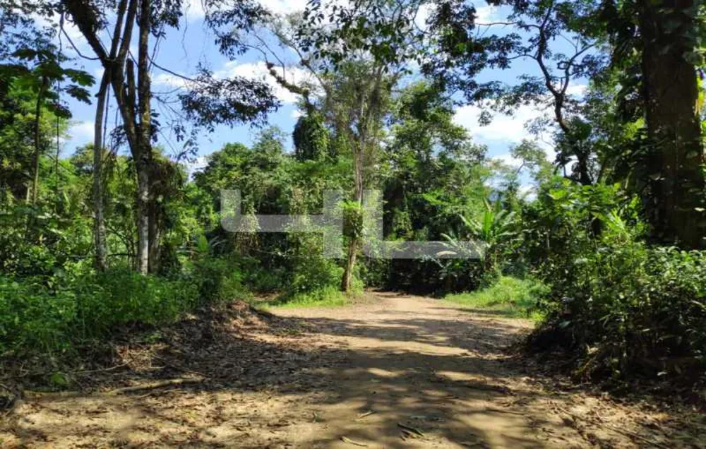 Fazenda, 1 quarto - Foto 11