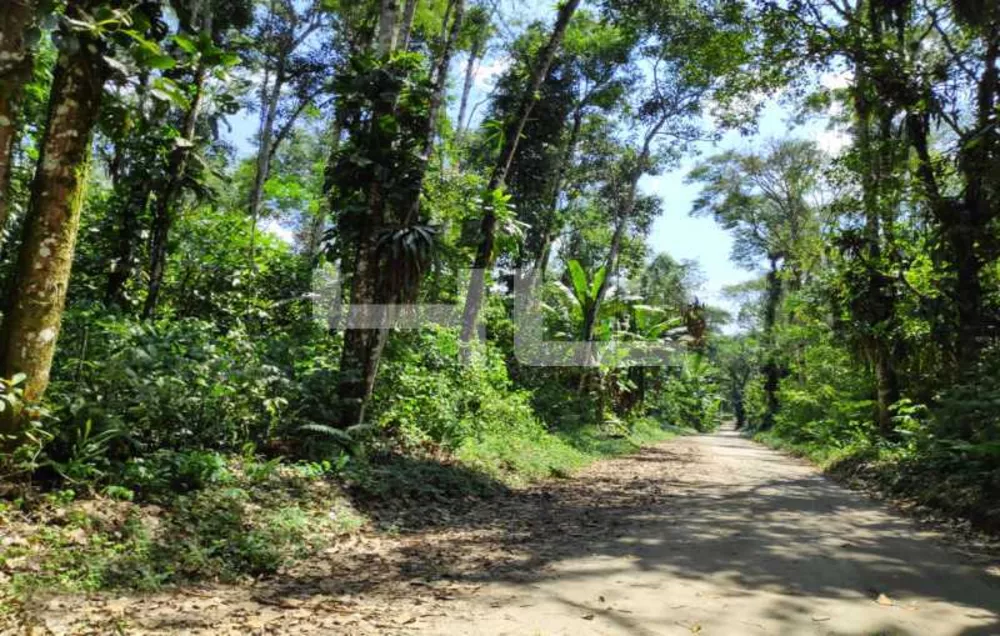 Fazenda, 1 quarto - Foto 5