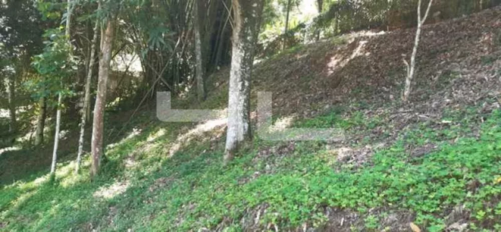 Terreno, 1500 m² - Foto 5