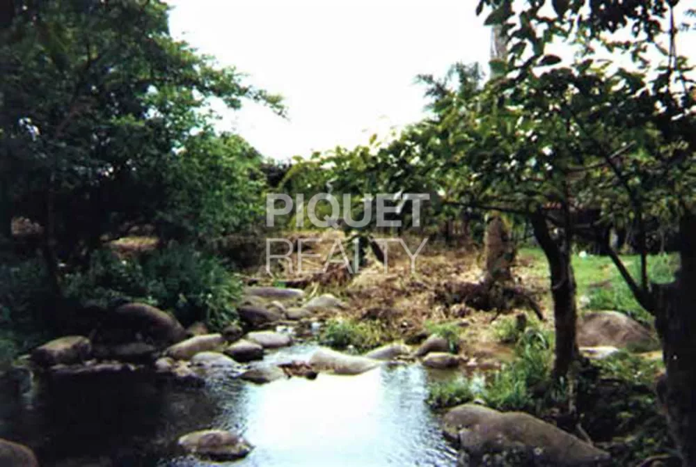 Terreno, 500 hectares - Foto 14