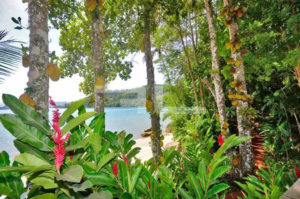 Casa de Condomínio, 5 quartos - Foto 4