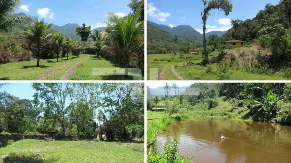 Fazenda, 100 hectares - Foto 29