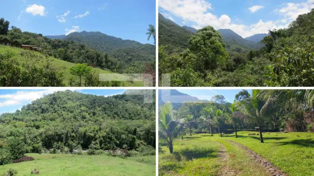Fazenda, 100 hectares - Foto 30