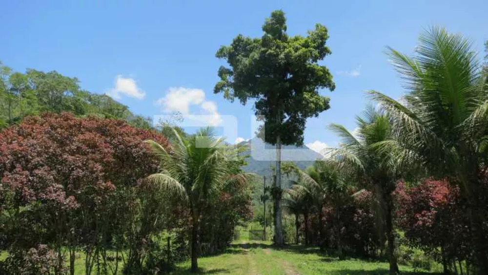 Fazenda, 100 hectares - Foto 15